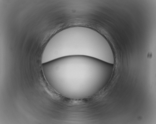 X0000112520401200908171117