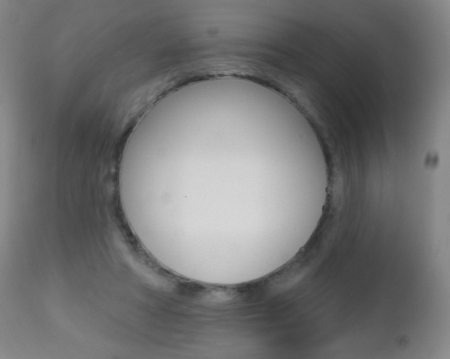 X0000112520402200908171117