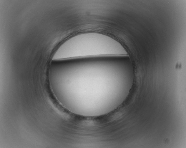 X0000112520404200908171117