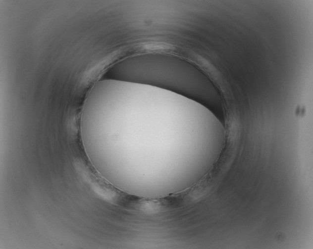 X0000112520405200908171117
