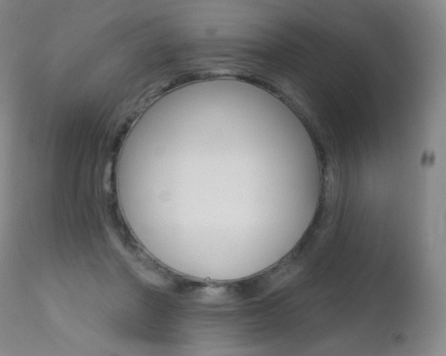 X0000112520406200908171117