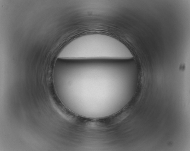 X0000112520408200908171117
