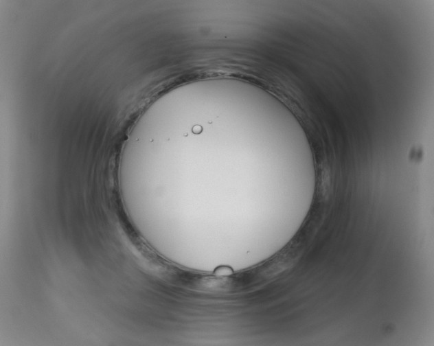 X0000112520410200908171117