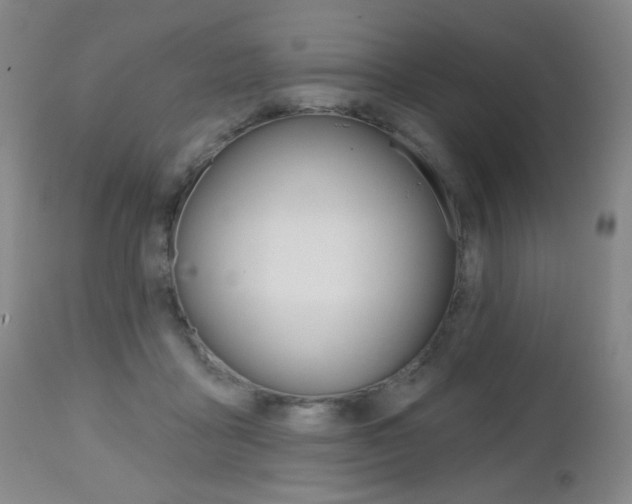 X0000112520411200908171117
