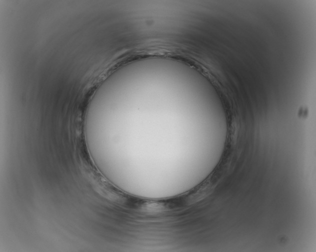 X0000112520413200908171117
