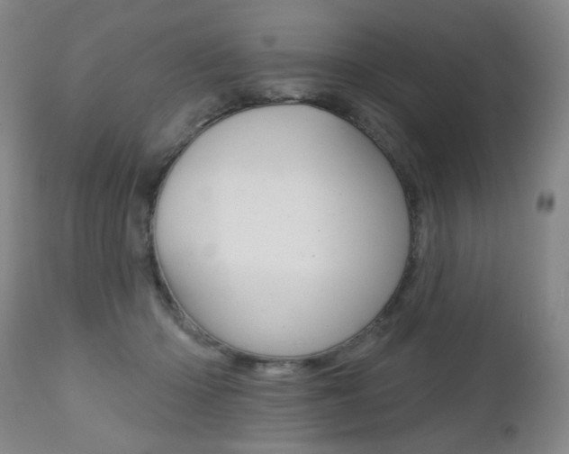 X0000112520414200908171117
