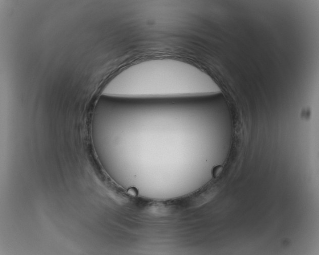 X0000112520416200908171117