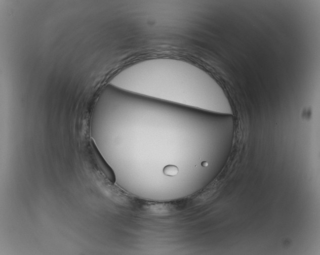 X0000112520417200908171117