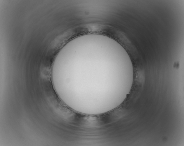 X0000112520419200908171117