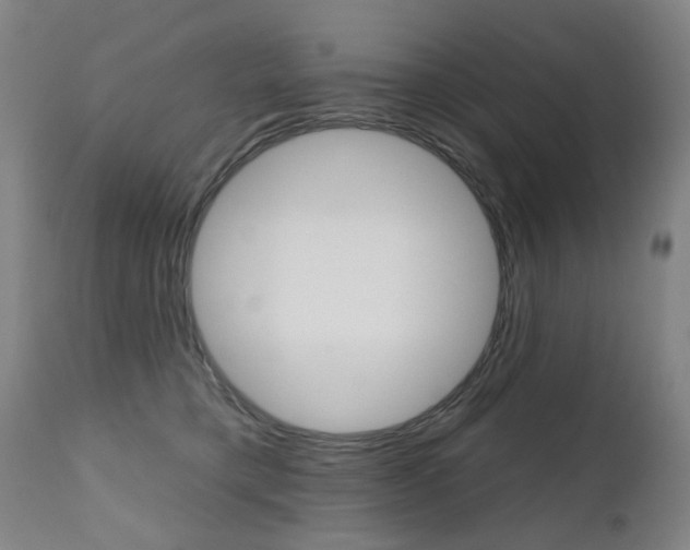 X0000112520421200908171117