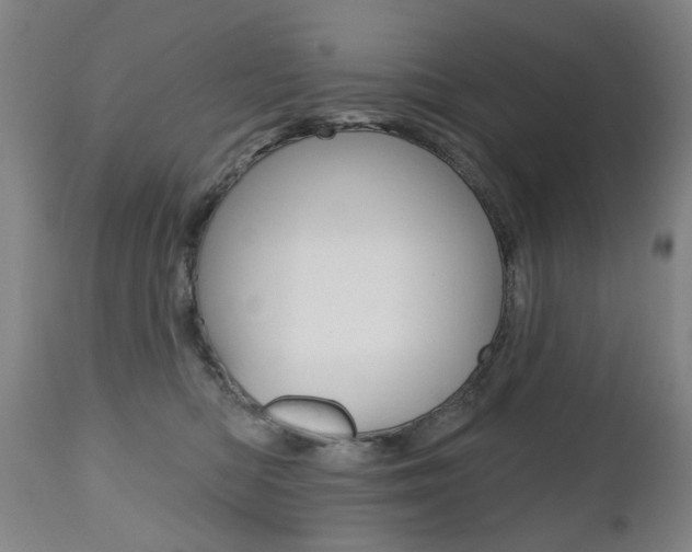 X0000112520422200908171117