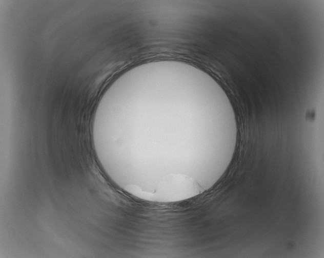 X0000112520423200908171117