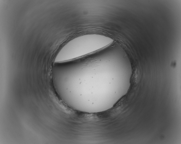 X0000112520424200908171117