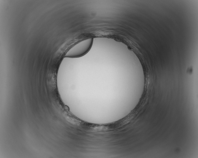 X0000112520426200908171117