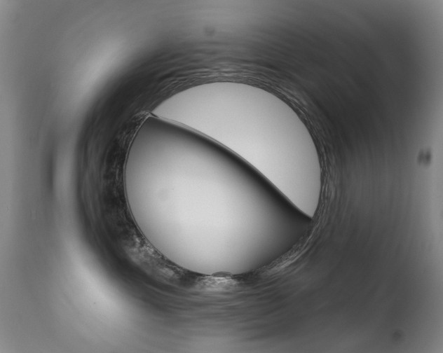 X0000112520429200908171117