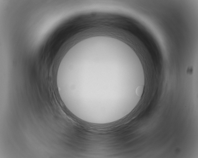 X0000112520431200908171117