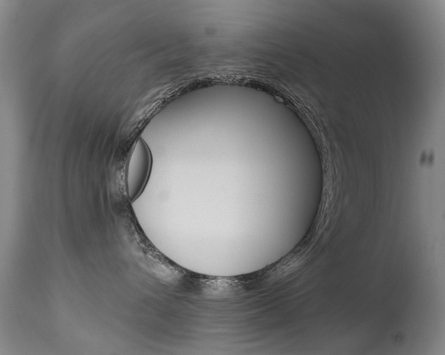 X0000112520432200908171117