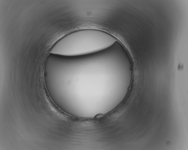 X0000112520433200908171116