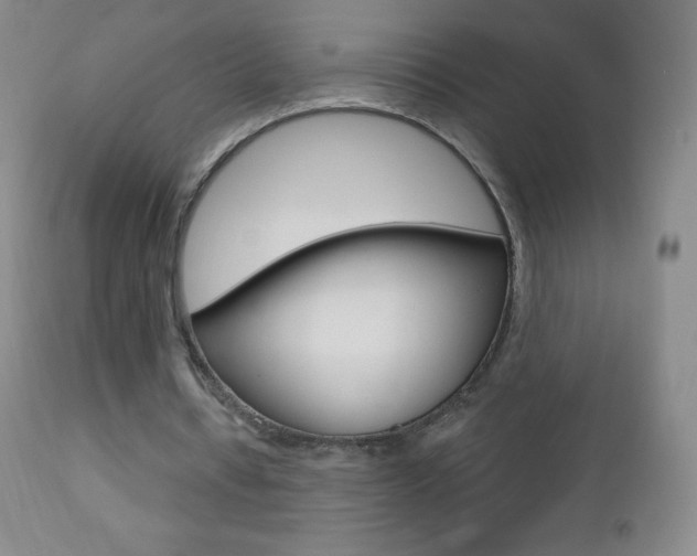 X0000112520434200908171116