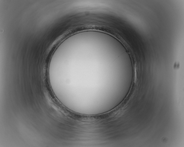 X0000112520435200908171116