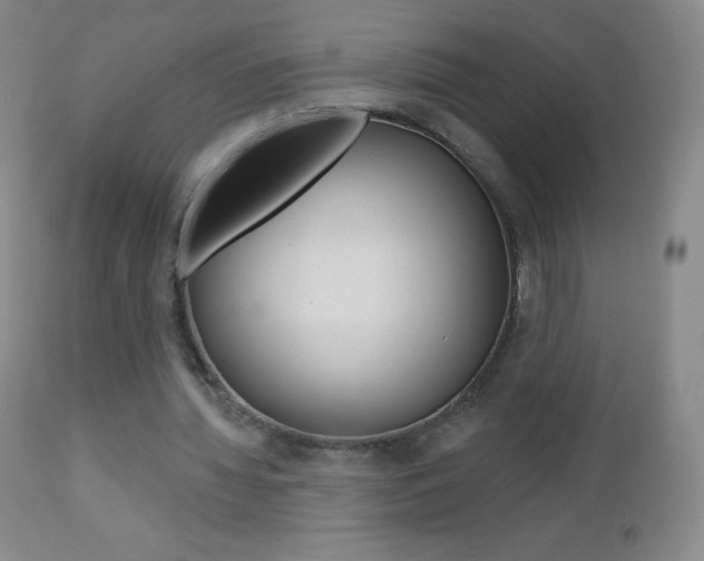 X0000112520436200908171116