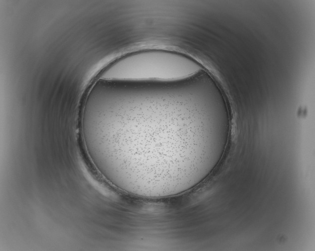 X0000112520438200908171116