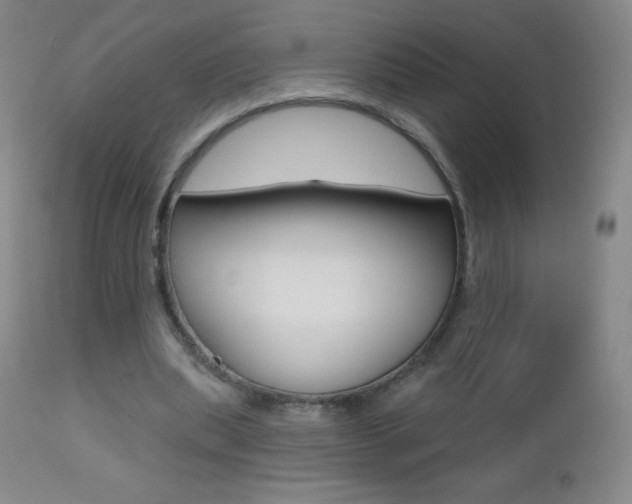 X0000112520439200908171116