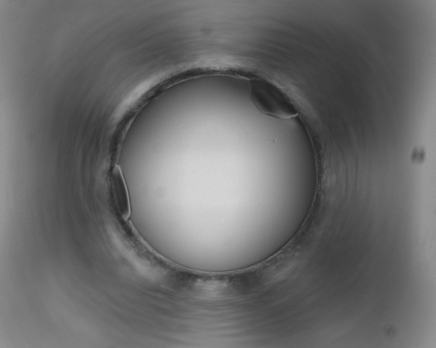 X0000112520440200908171116