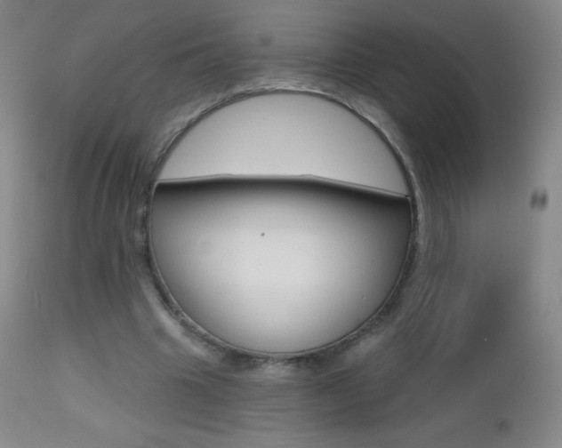 X0000112520441200908171116