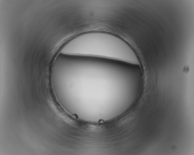 X0000112520442200908171116