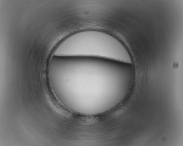 X0000112520443200908171116