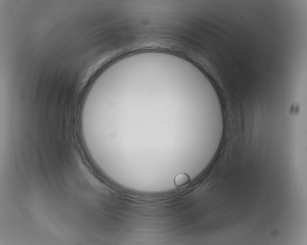 X0000112520444200908171116