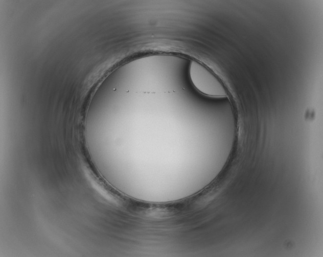 X0000112520445200908171116
