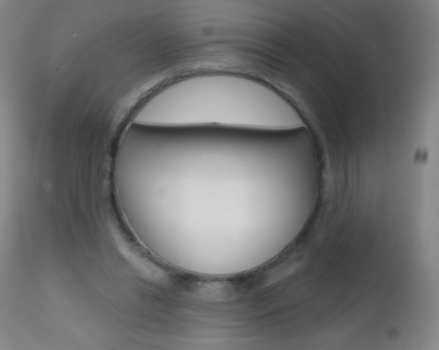 X0000112520446200908171116