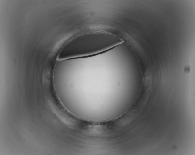 X0000112520448200908171116