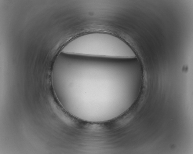 X0000112520449200908171116