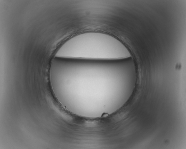 X0000112520450200908171117