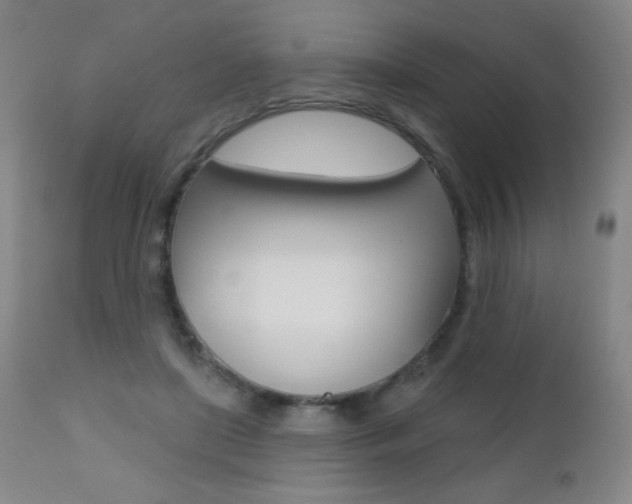 X0000112520451200908171117