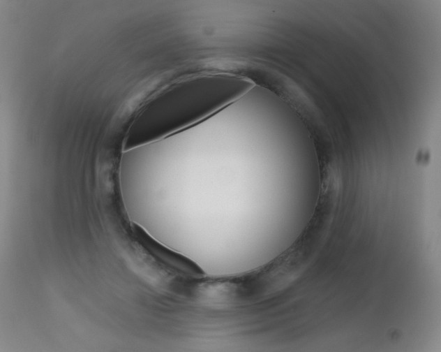 X0000112520452200908171117