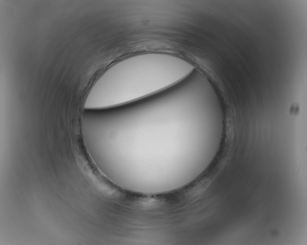 X0000112520453200908171117