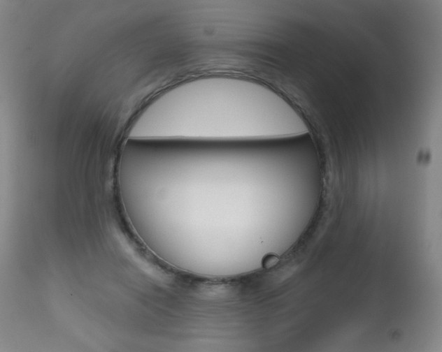 X0000112520454200908171117