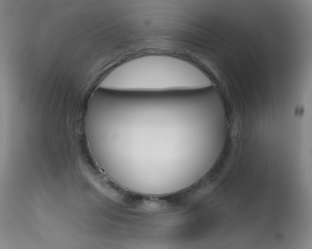 X0000112520455200908171117