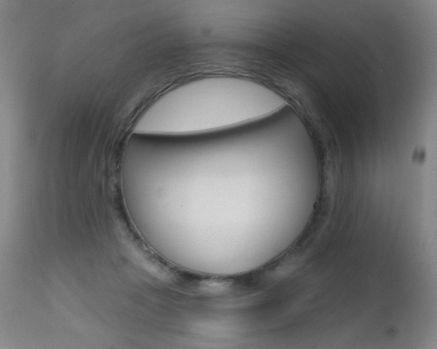 X0000112520457200908171117