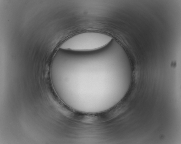 X0000112520458200908171117