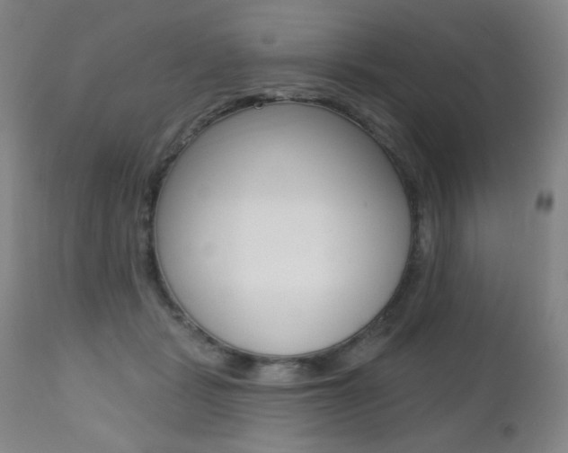 X0000112520461200908171117