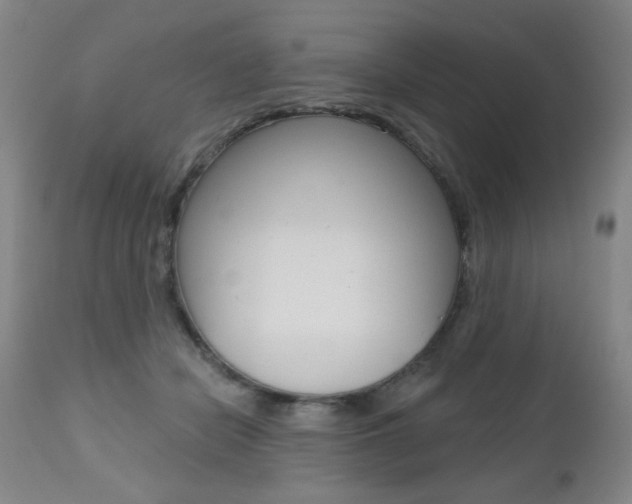 X0000112520462200908171117