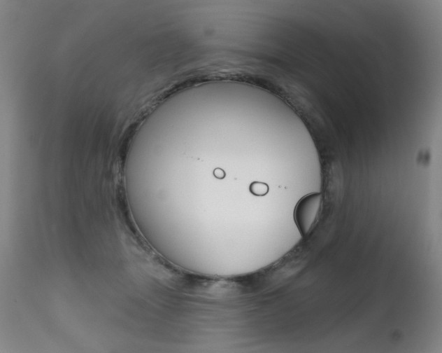 X0000112520463200908171117