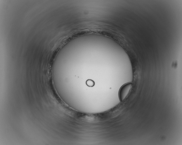 X0000112520464200908171117