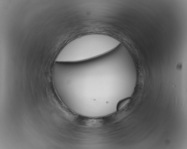 X0000112520465200908171117