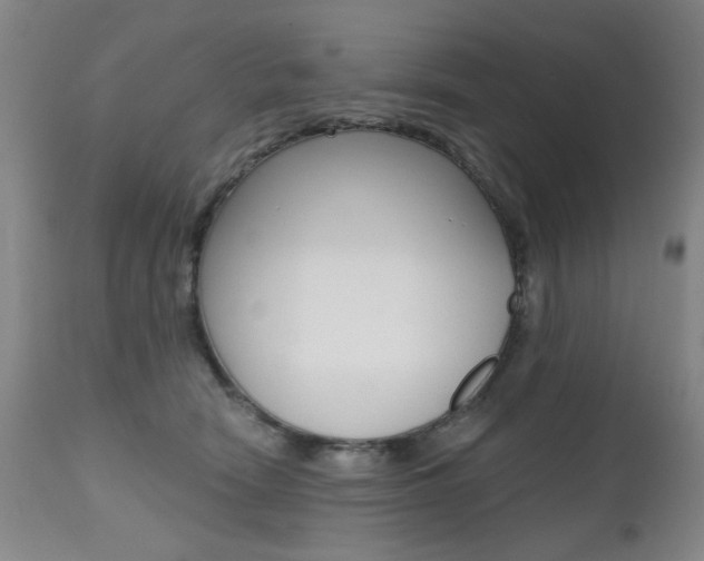 X0000112520466200908171117